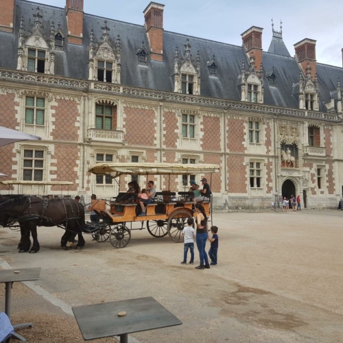 Castle of Blois Private tour